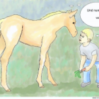 Und nun?