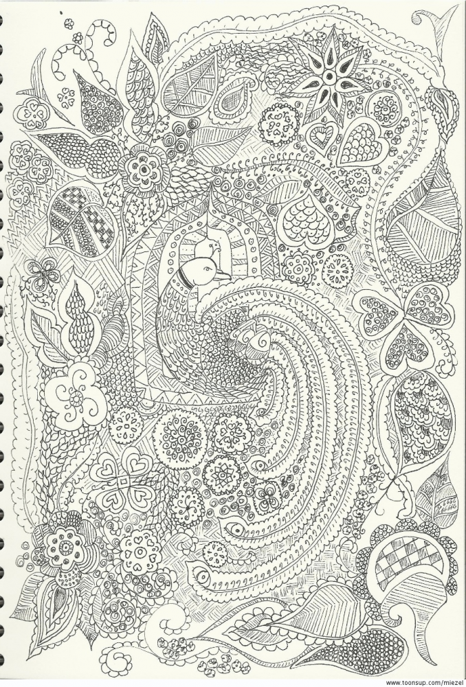 Illustration: Paradiesvogel 3