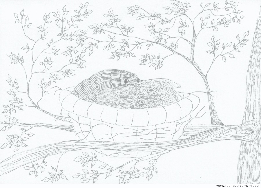 Illustration: Ausruhen 1