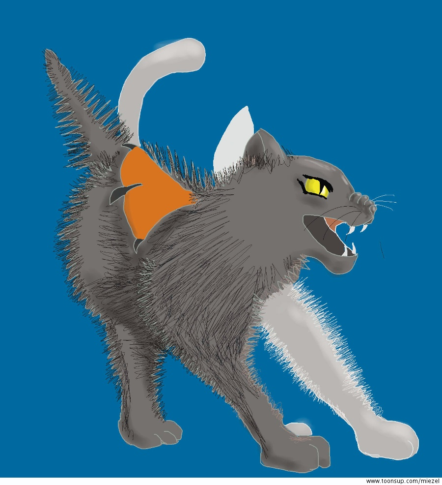 Cartoon: Evolution 4
