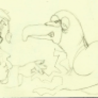 Miri die Möwe