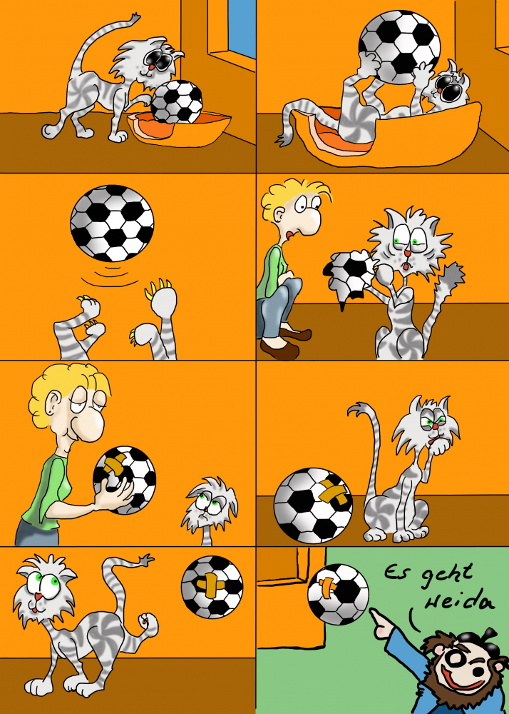 Comic: Fußball-Zuspiel von Miezel an Wolfgang 1