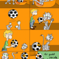 Fußball-Zuspiel von Miezel an Wolfgang