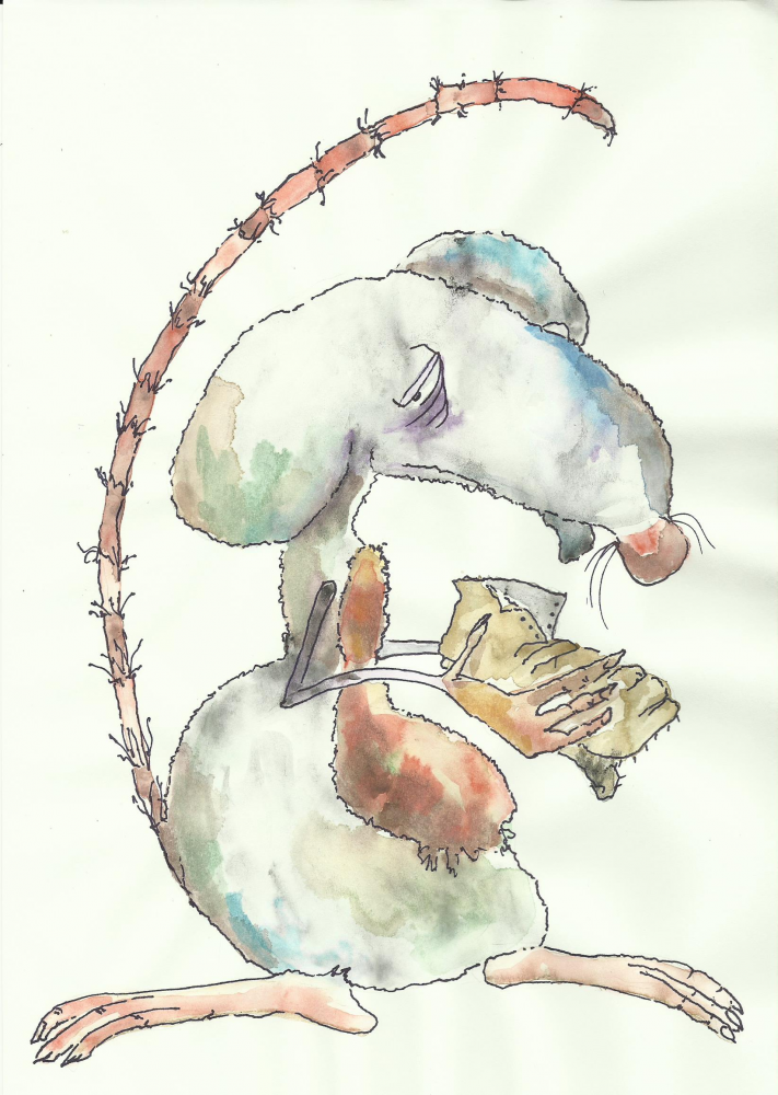 Illustration: Ratte 1