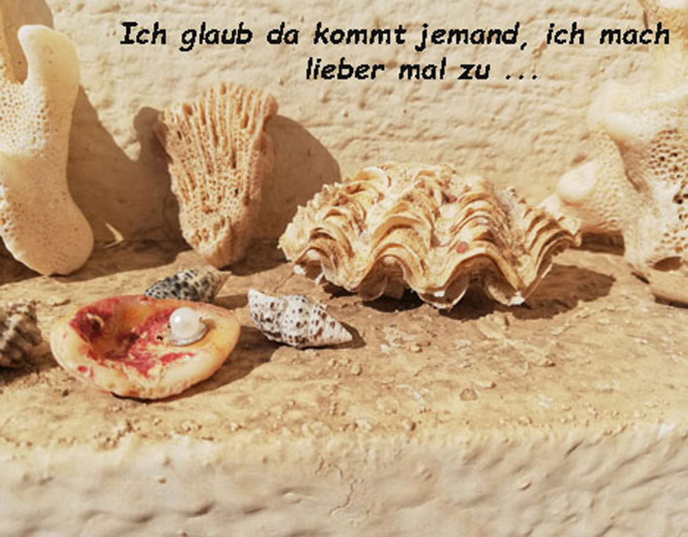 Comic: Riffgeschichte (Teil 4) 4