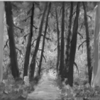 Wald