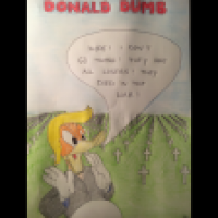 DONALD DUMB at the war graves in France