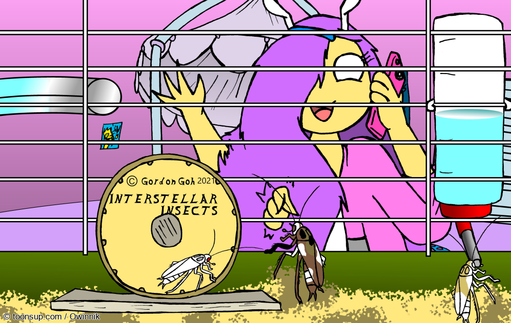 Illustration: Haustiere 1