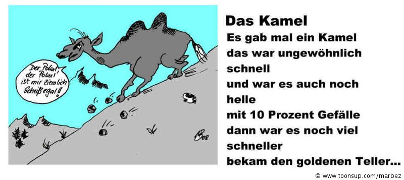Cartoon: Das Kamel 1