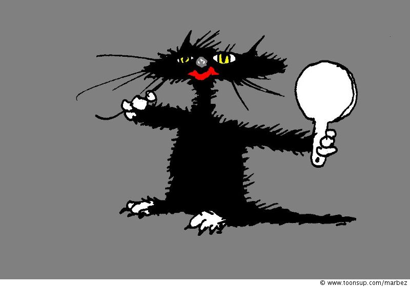 Cartoon: Schöne schwarze Katze 1