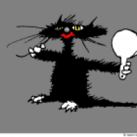 Schöne schwarze Katze