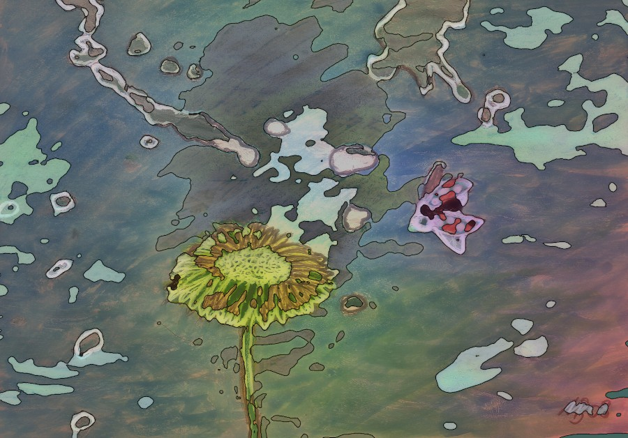 Illustration: Shelter 1