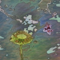 Shelter