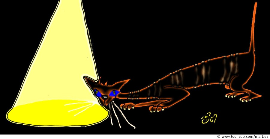 Cartoon: CatSpotLight 1