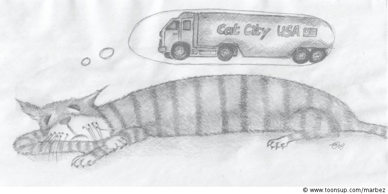 Illustration: Katzenträume 1
