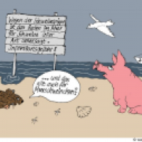 Schweinegrippe & Baden