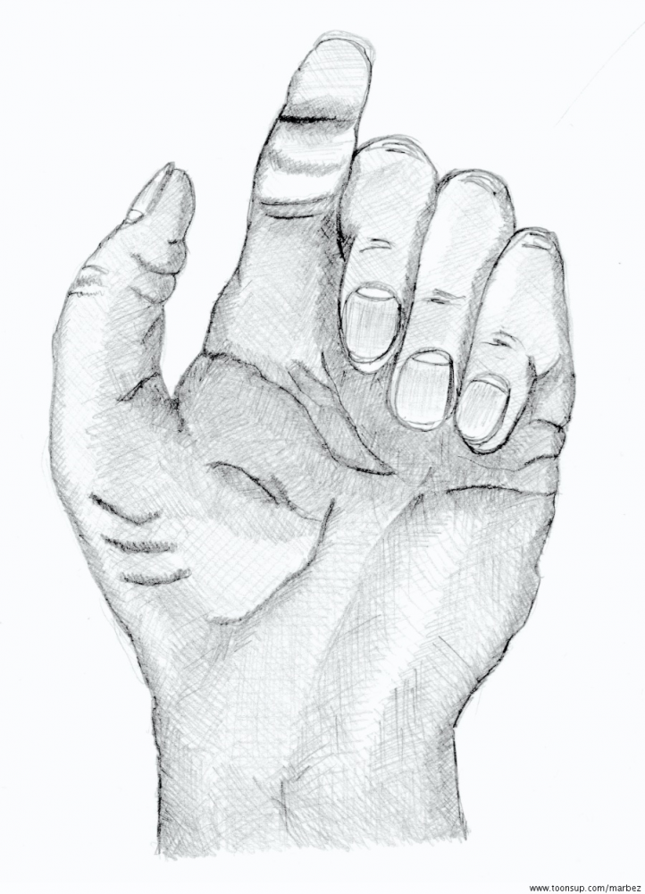 Illustration: Hand, Fingerzweig 1