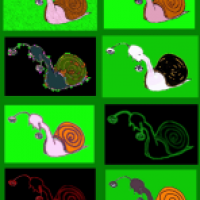 Darwin's Snails