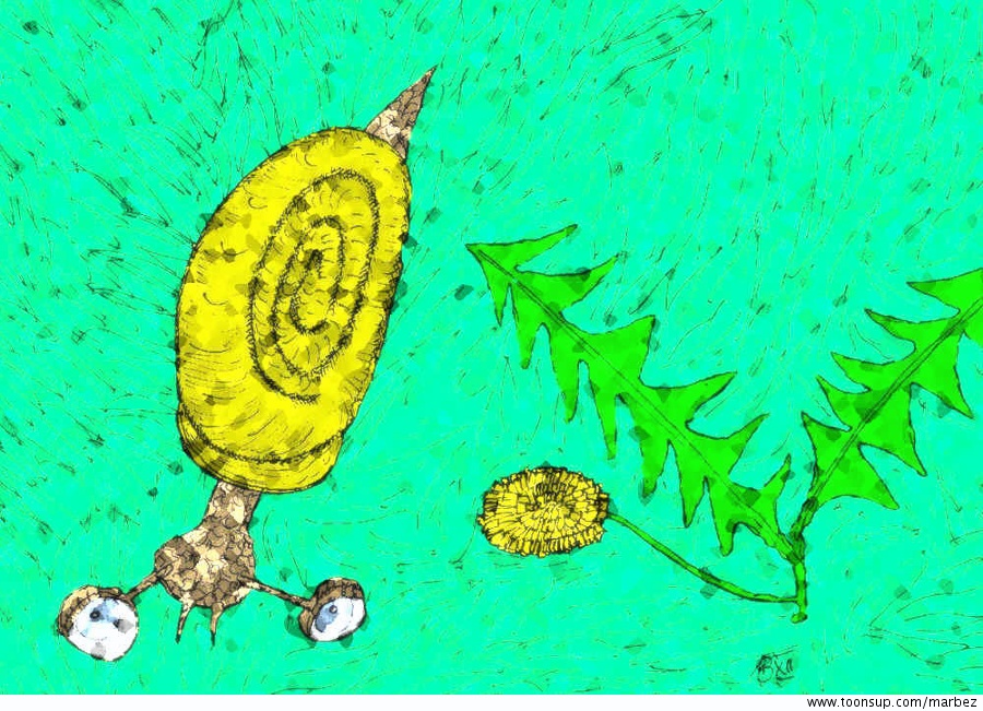 Illustration: Schnecke & Löwenzahn 1