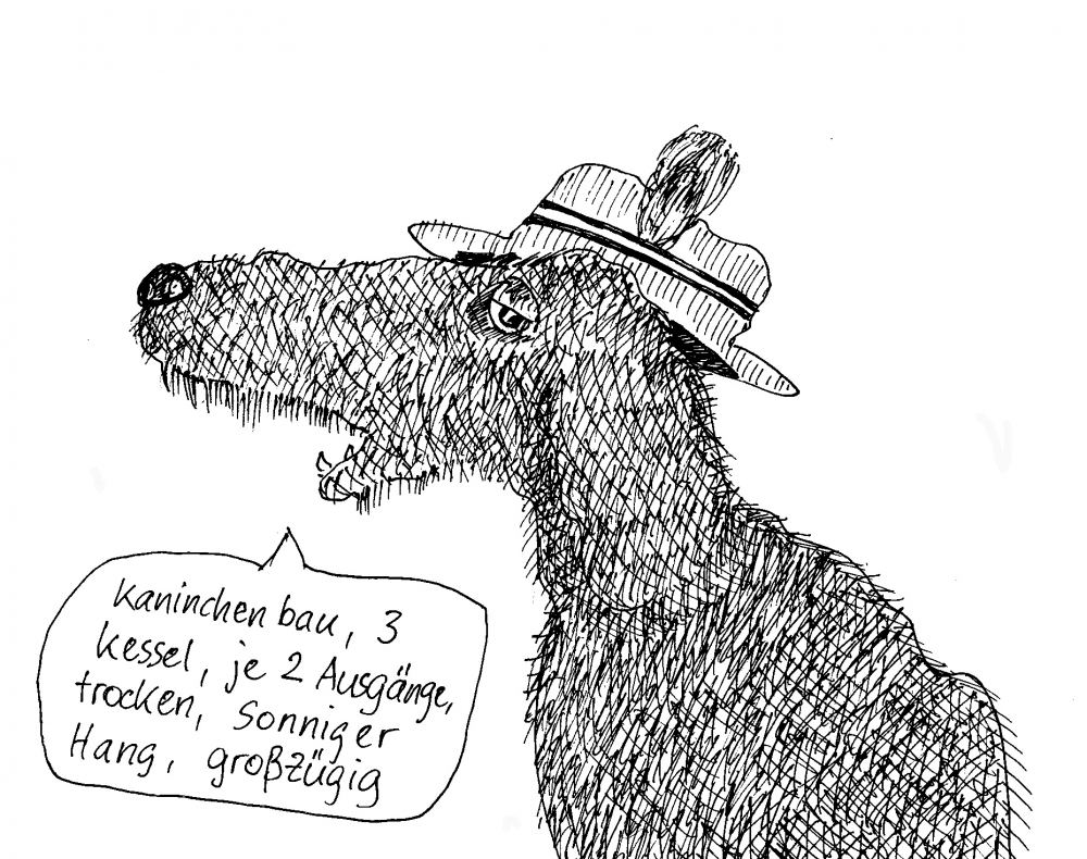 Cartoon: Jagddackel 1