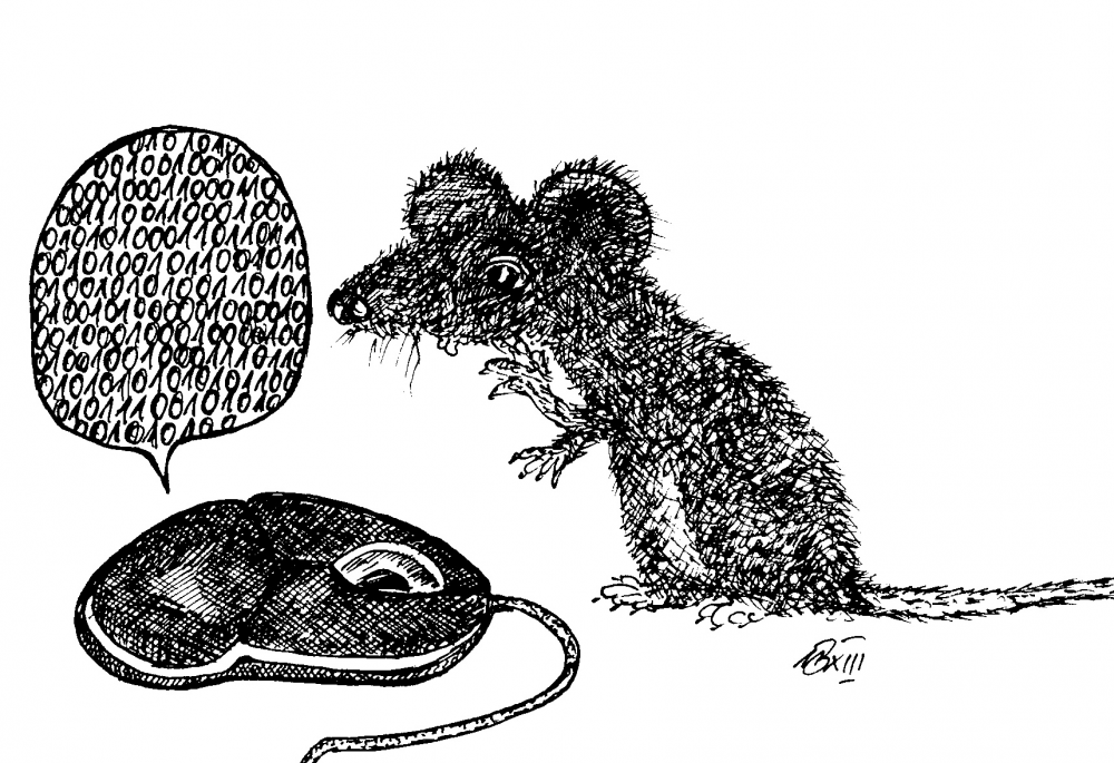 Cartoon: Fremdsprachen sind wichtig. 1