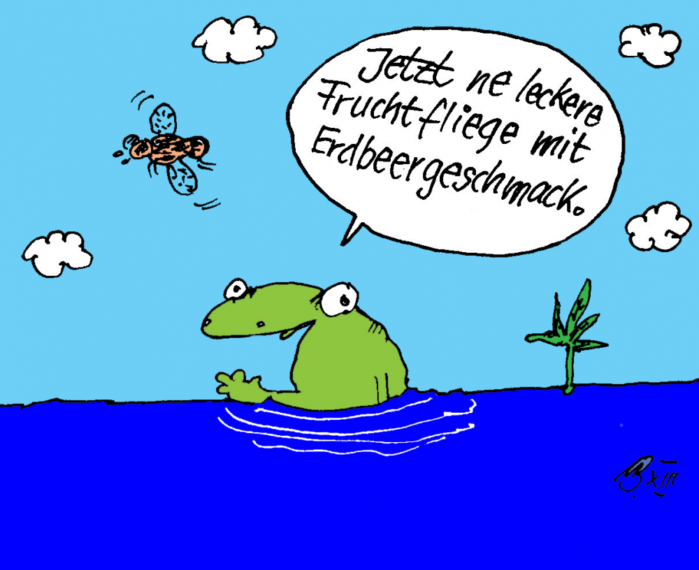 Cartoon: Leckere Fruchtfliege mit Erdbeergeschmack! 1