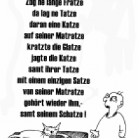 Katze auf Matratze