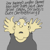 Große Ohren
