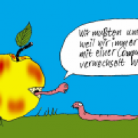 Der Umbau