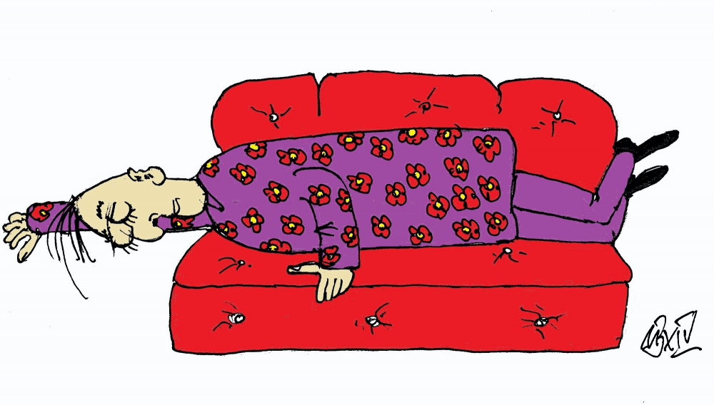 Cartoon: Roberts neues Sofa 1