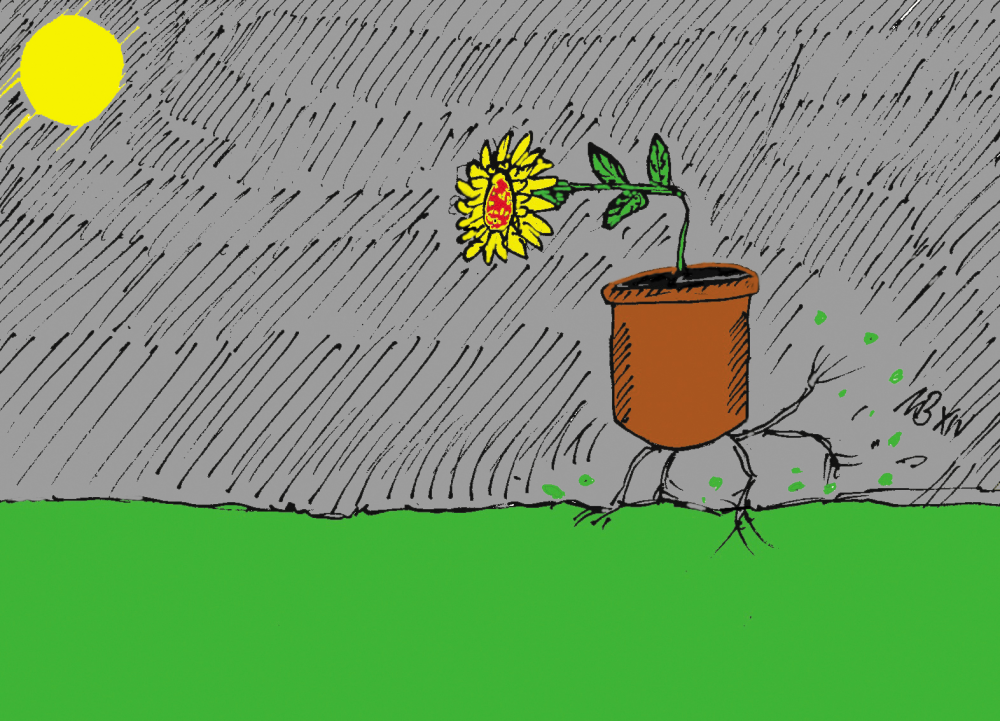 Cartoon: Sonne? 1