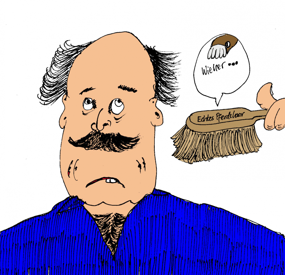 Cartoon: Echtes Haar 1