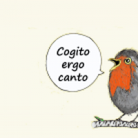 Cogito ergo canto