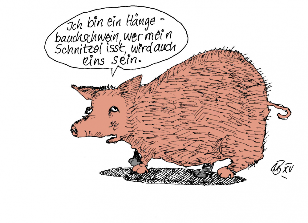 Cartoon: Hängebauchschwein 1