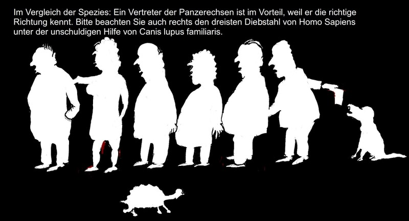 Cartoon: Vergleich der Spezies 1