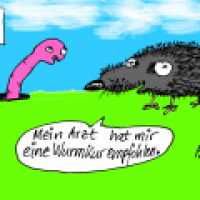 Wurmkur