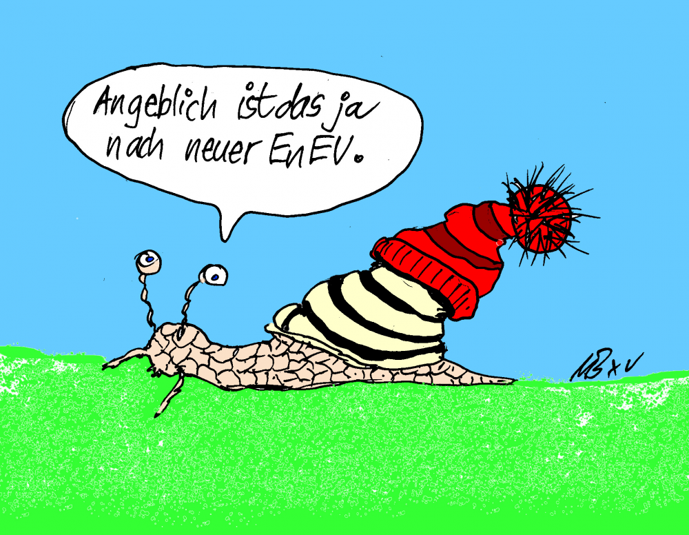 Cartoon: EnergieEinsparVerordnung 1