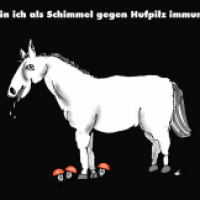 Gefährlicher Schimmel?