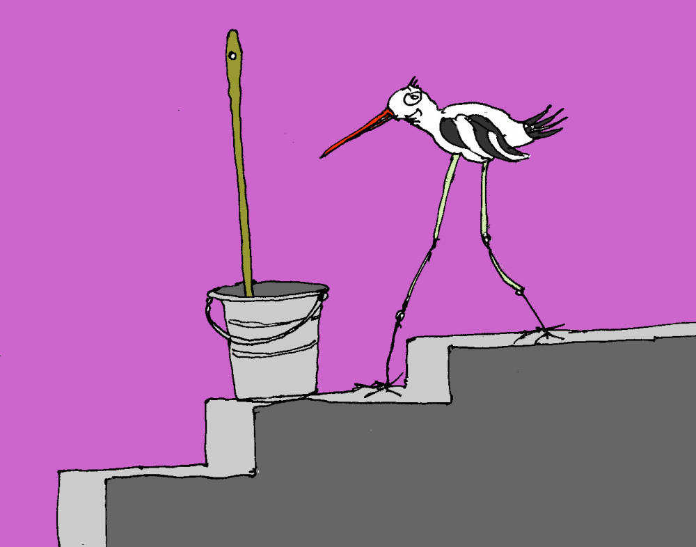 Cartoon: Umzug des Wattvogel 1