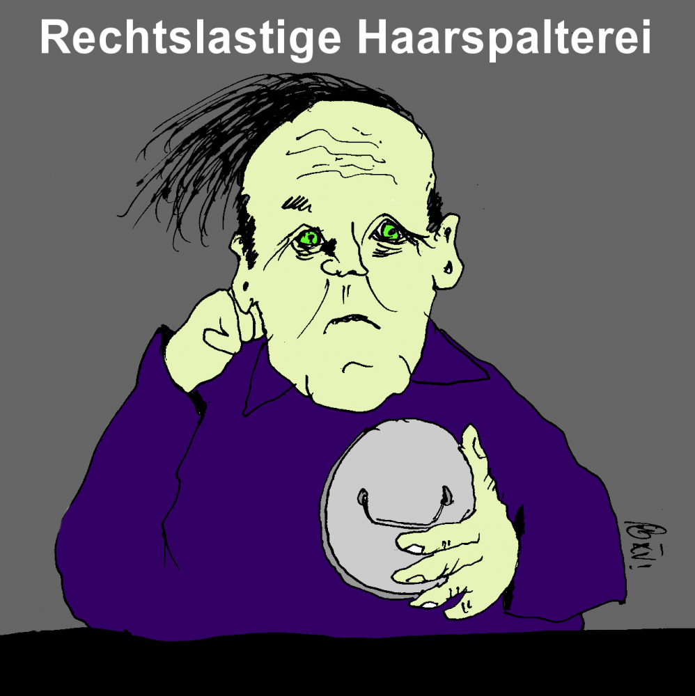 Cartoon: Haarspalterei 1