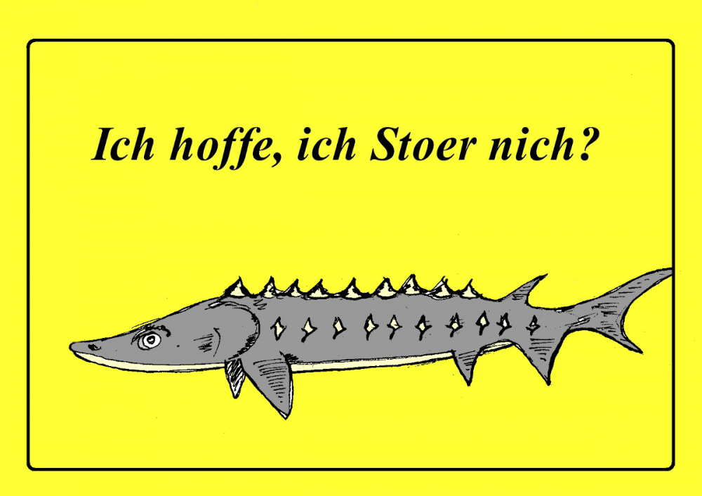 Cartoon: Stör-ung 1