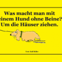 Hund ohne Beine
