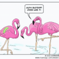 Biotripp