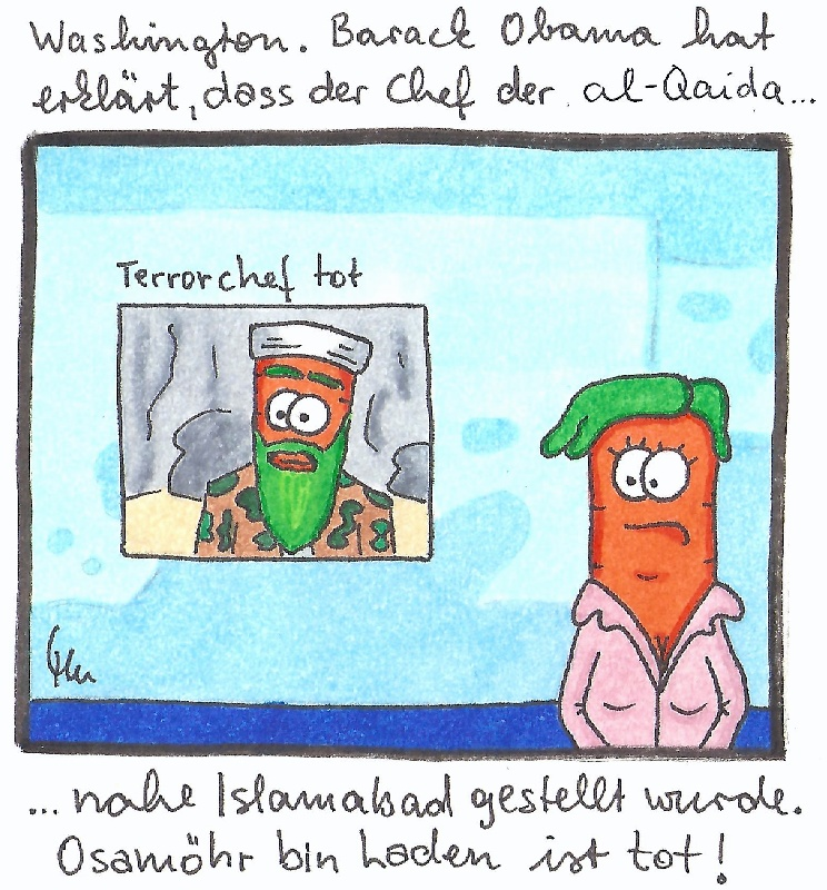 Comic: Politik - eine Dokumentation 5