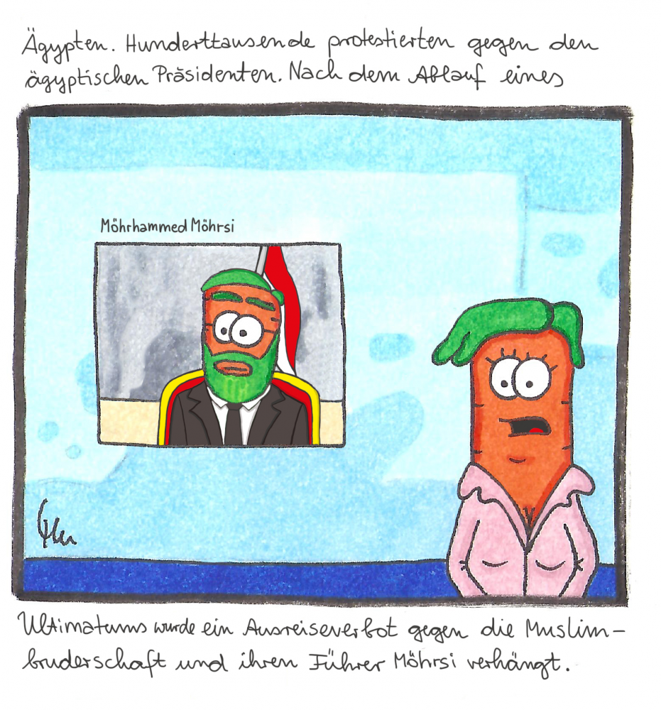 Comic: Politik - eine Dokumentation 6