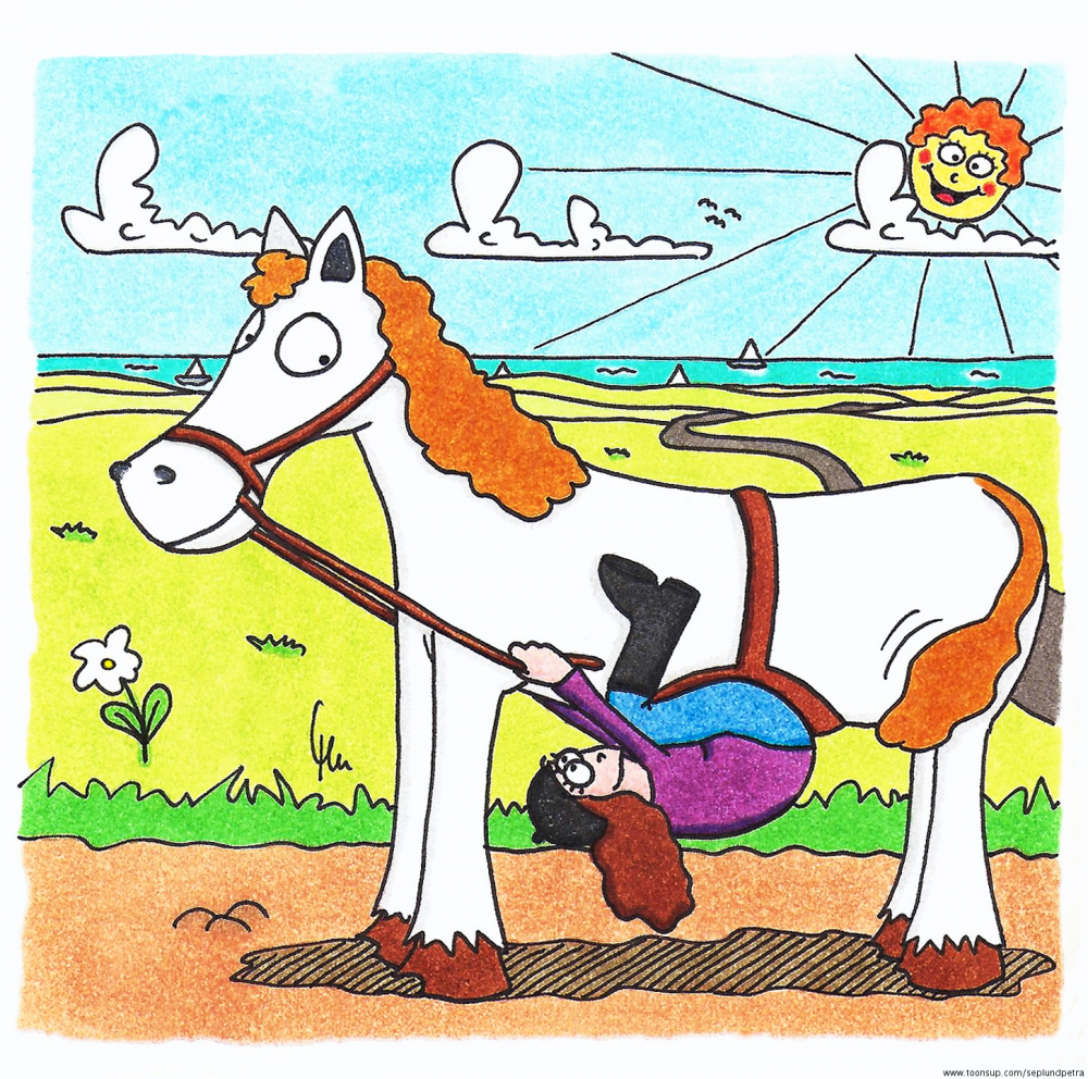 Illustration: Reiterland Schleswig-Holstein 1
