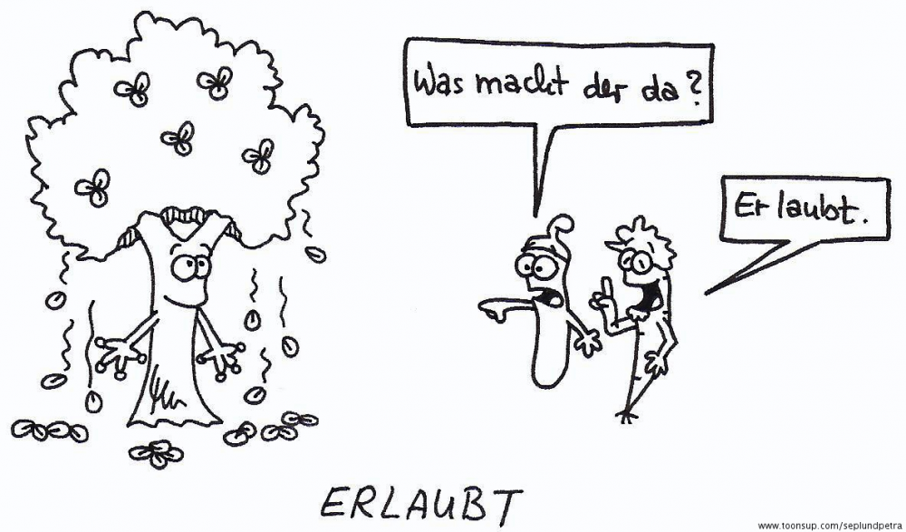 Cartoon: Schlechte Wortspiele 3