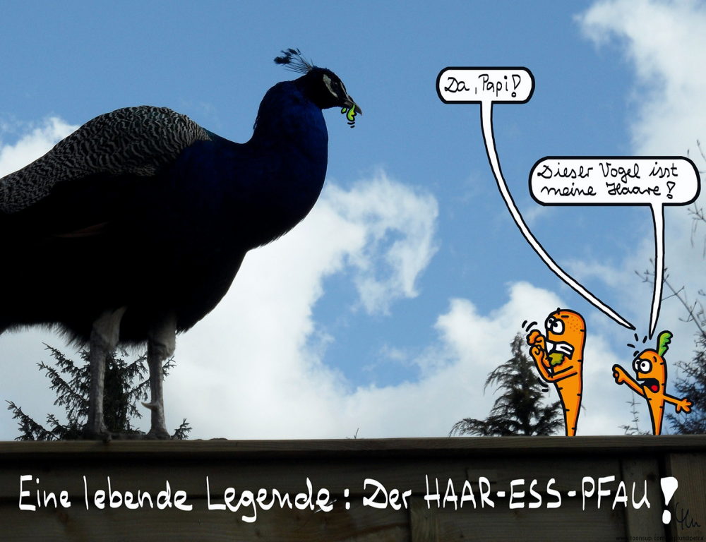 Cartoon: Unterwegs mit Herrman Delkow 3