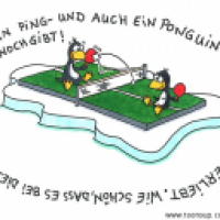 für fine