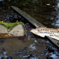 Tauchender Waldwichtel